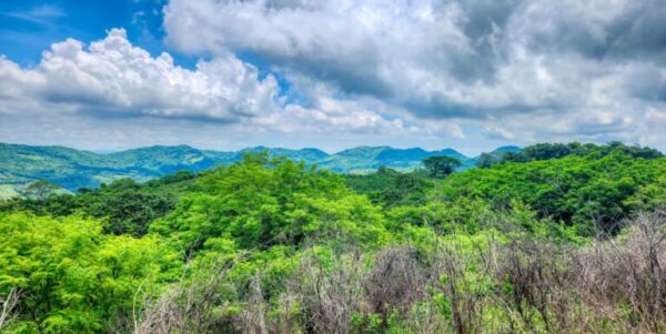 12 Acres Ocean View, Peaceful Hills! - Image 12
