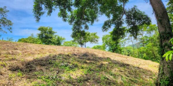 Double Lot, Half Price Ocean, Mountain View - Image 12
