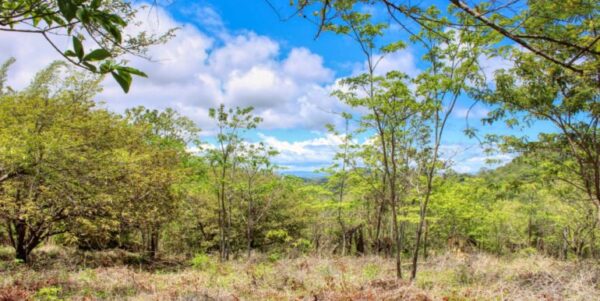 2.5 acres Nature’s Paradise, Las Fincas Lot 20 - Image 12