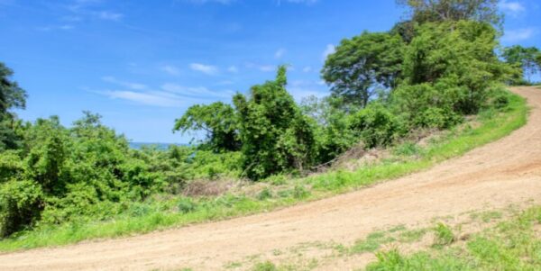 Lot 83 Dream ocean view lot, bargain, Paradise Bay! - Image 12