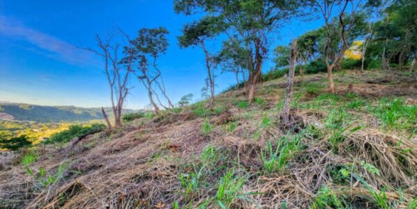 Paradise Ocean and Bay View Property lot R1- San Juan del Sur! - Image 12