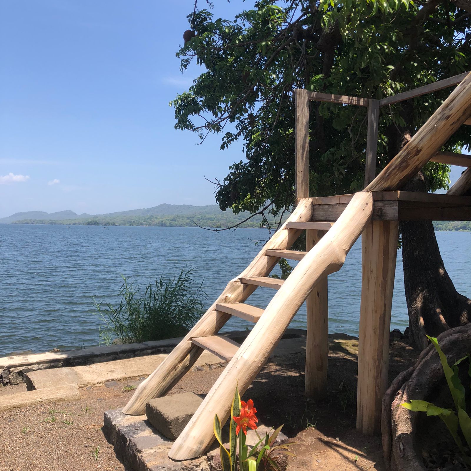 Own a Private Island & Treehouse Boutique Lodge - Image 33