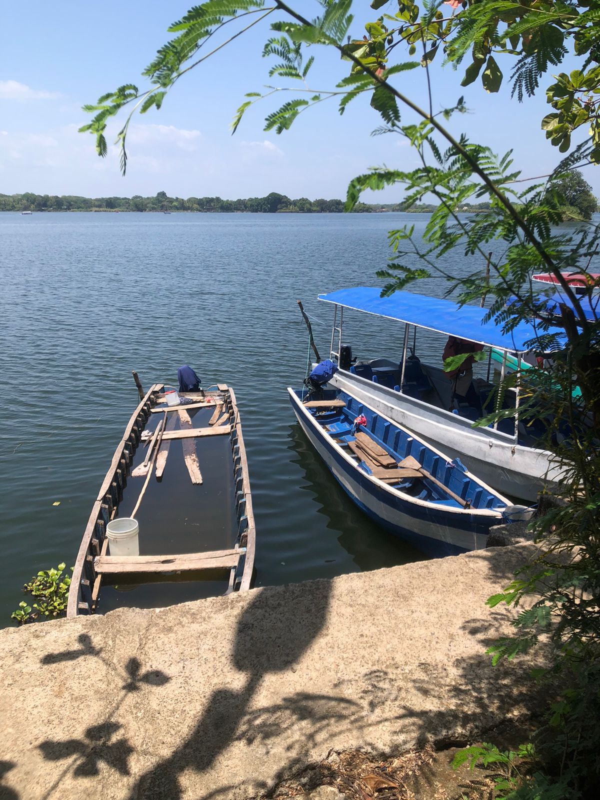 Own a Private Island & Treehouse Boutique Lodge - Image 26