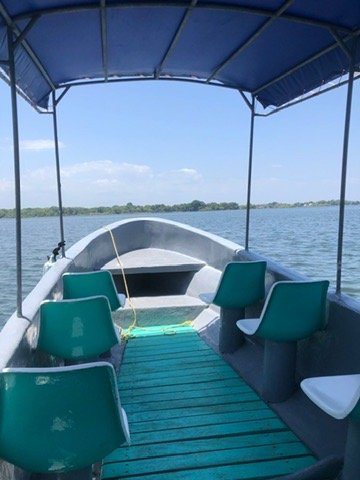 Own a Private Island & Treehouse Boutique Lodge - Image 28