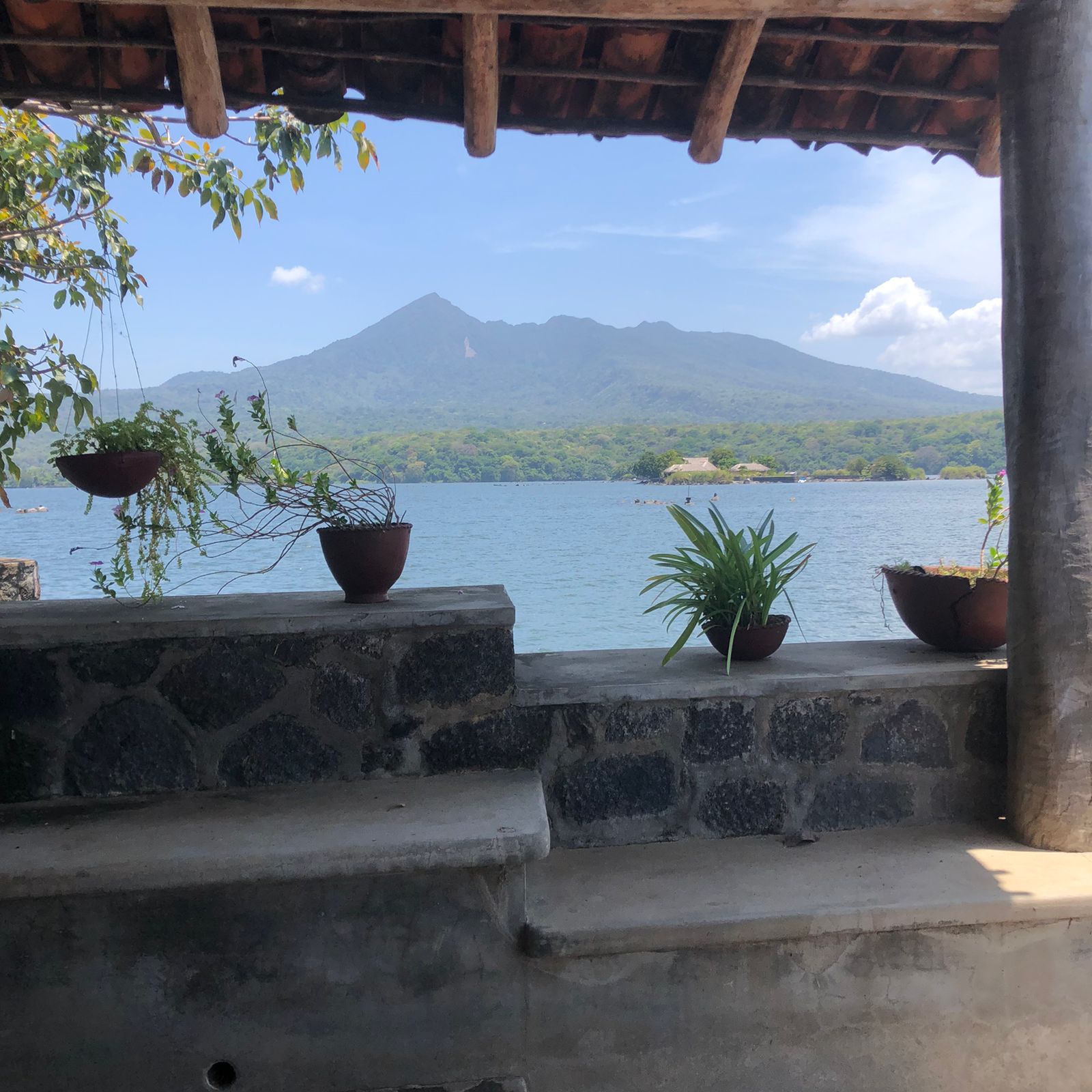 Own a Private Island & Treehouse Boutique Lodge - Image 32