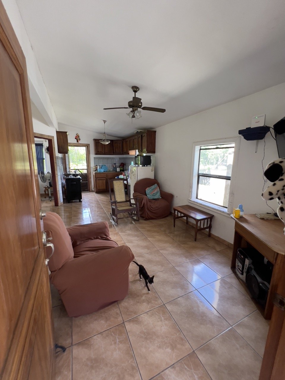 Business Location with Commercial Land Along the PanAmerican Highway - Image 28