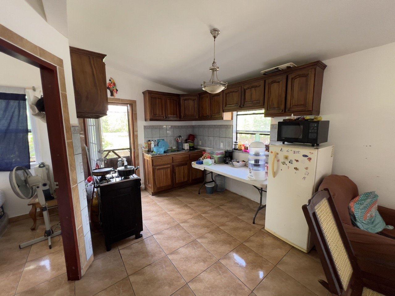 Business Location with Commercial Land Along the PanAmerican Highway - Image 29