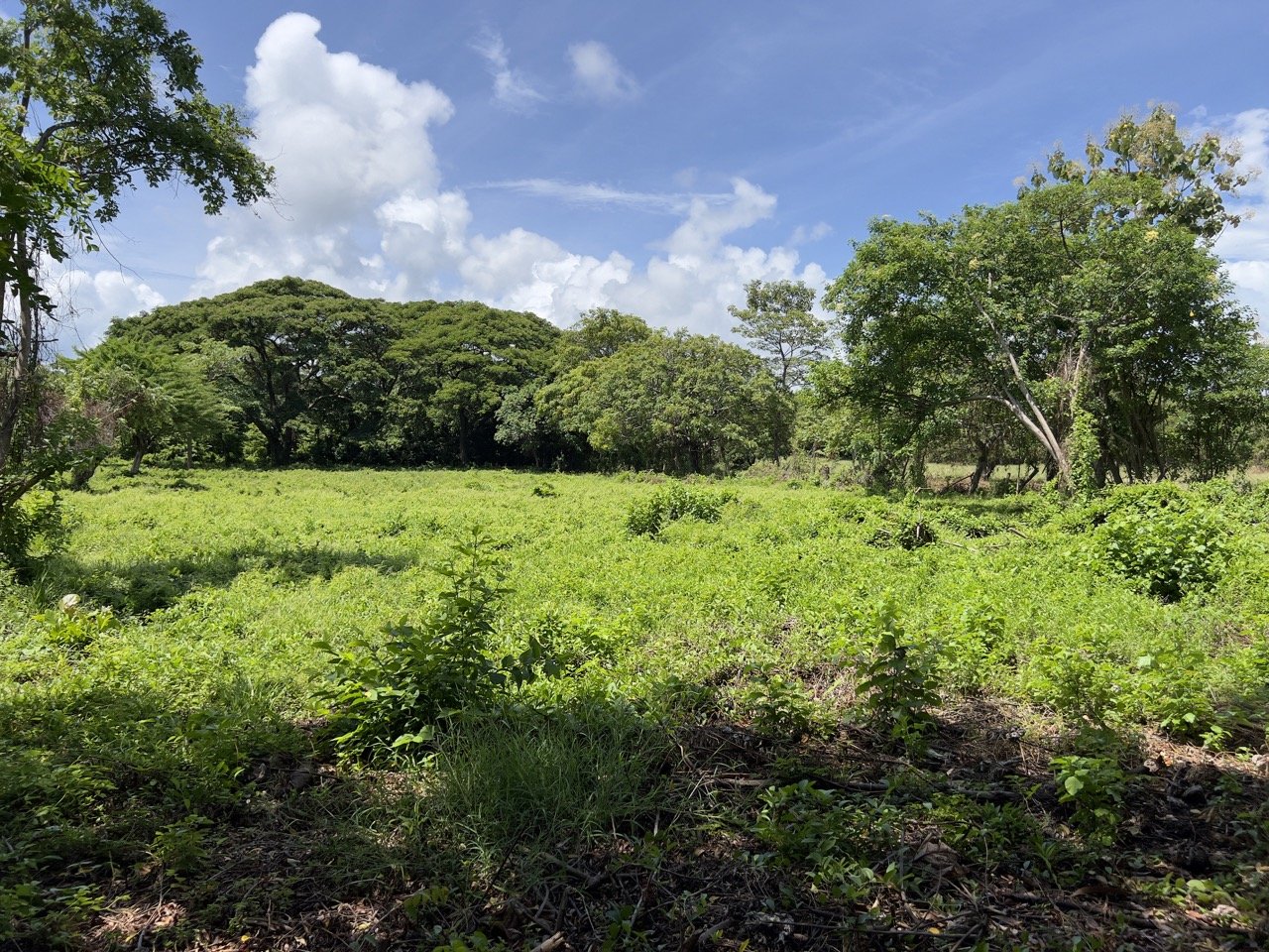 Business Location with Commercial Land Along the PanAmerican Highway - Image 36