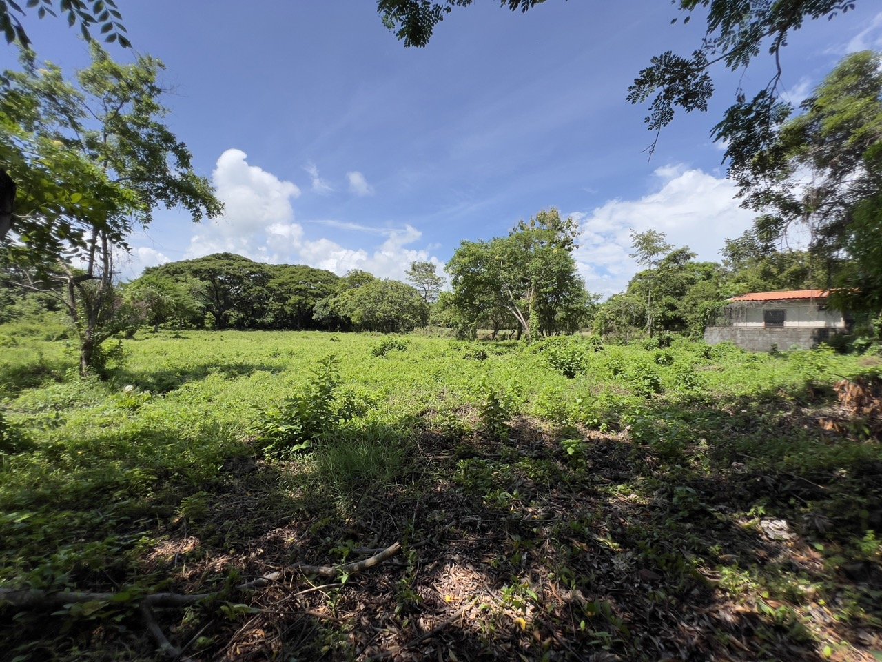 Business Location with Commercial Land Along the PanAmerican Highway - Image 37