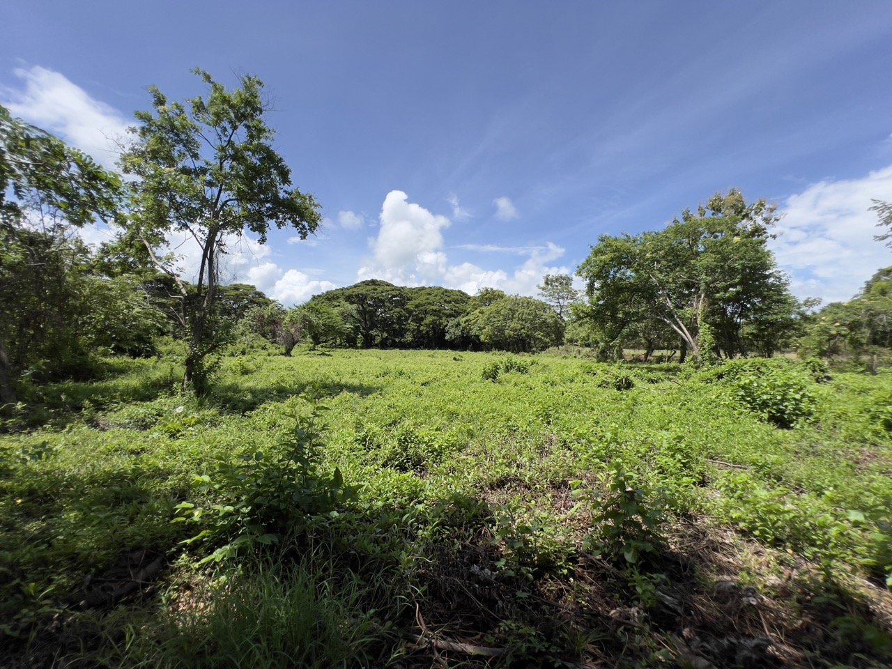 Business Location with Commercial Land Along the PanAmerican Highway - Image 38