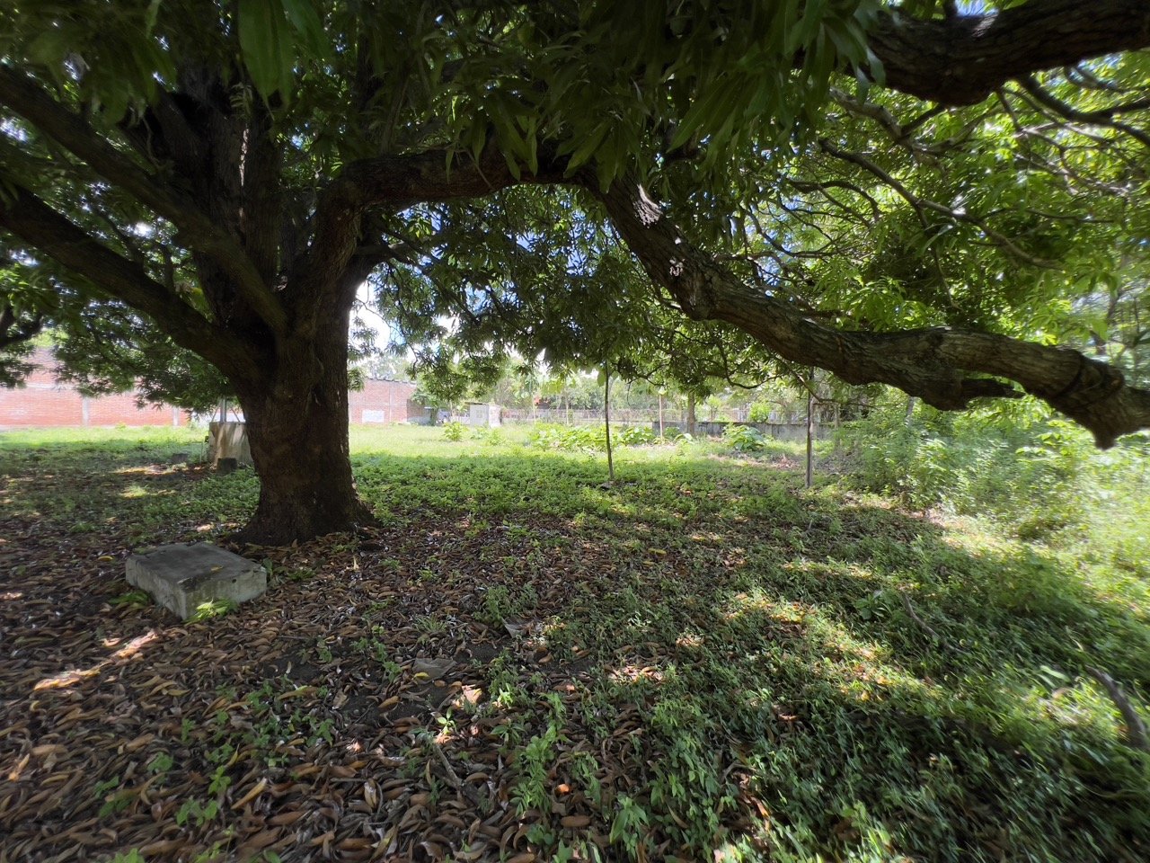 Business Location with Commercial Land Along the PanAmerican Highway - Image 39