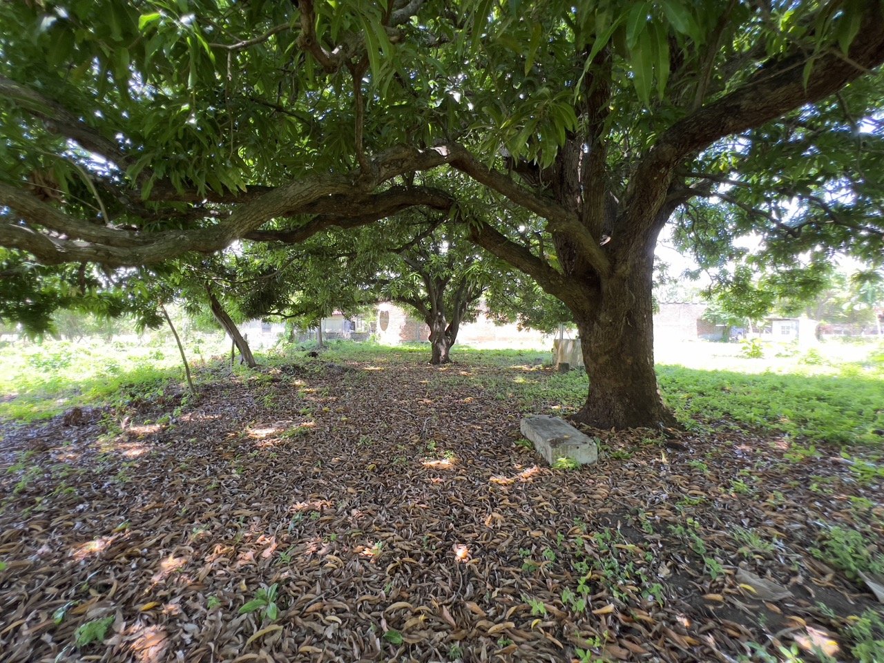 Business Location with Commercial Land Along the PanAmerican Highway - Image 40