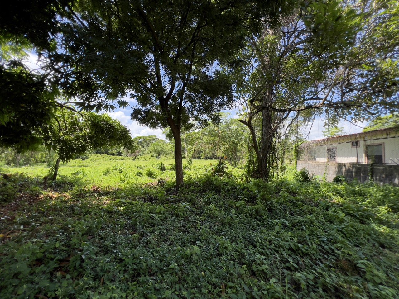 Business Location with Commercial Land Along the PanAmerican Highway - Image 41