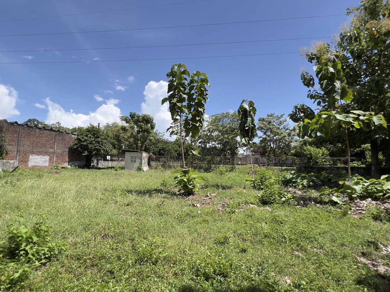 Business Location with Commercial Land Along the PanAmerican Highway - Image 43