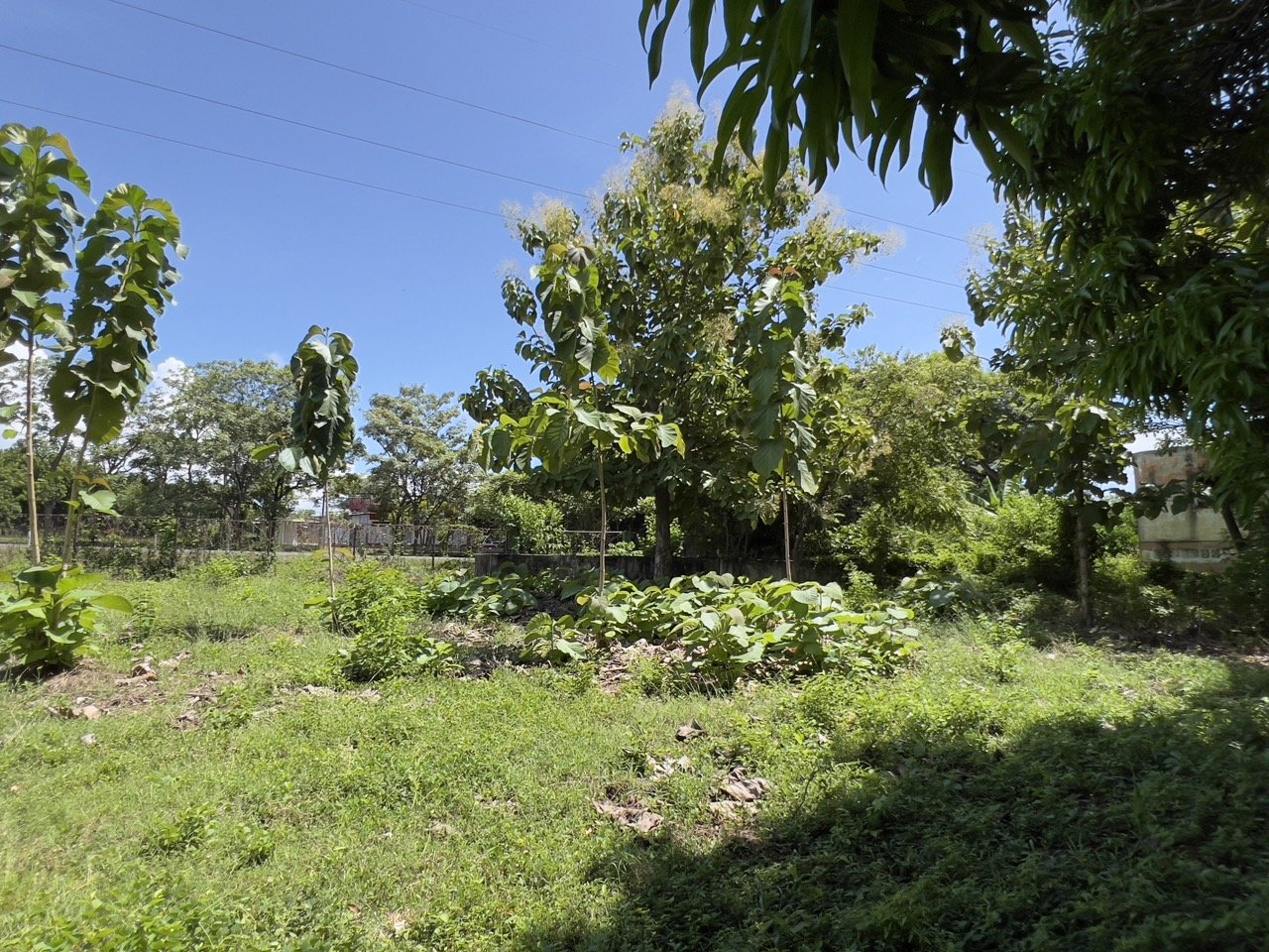 Business Location with Commercial Land Along the PanAmerican Highway - Image 44