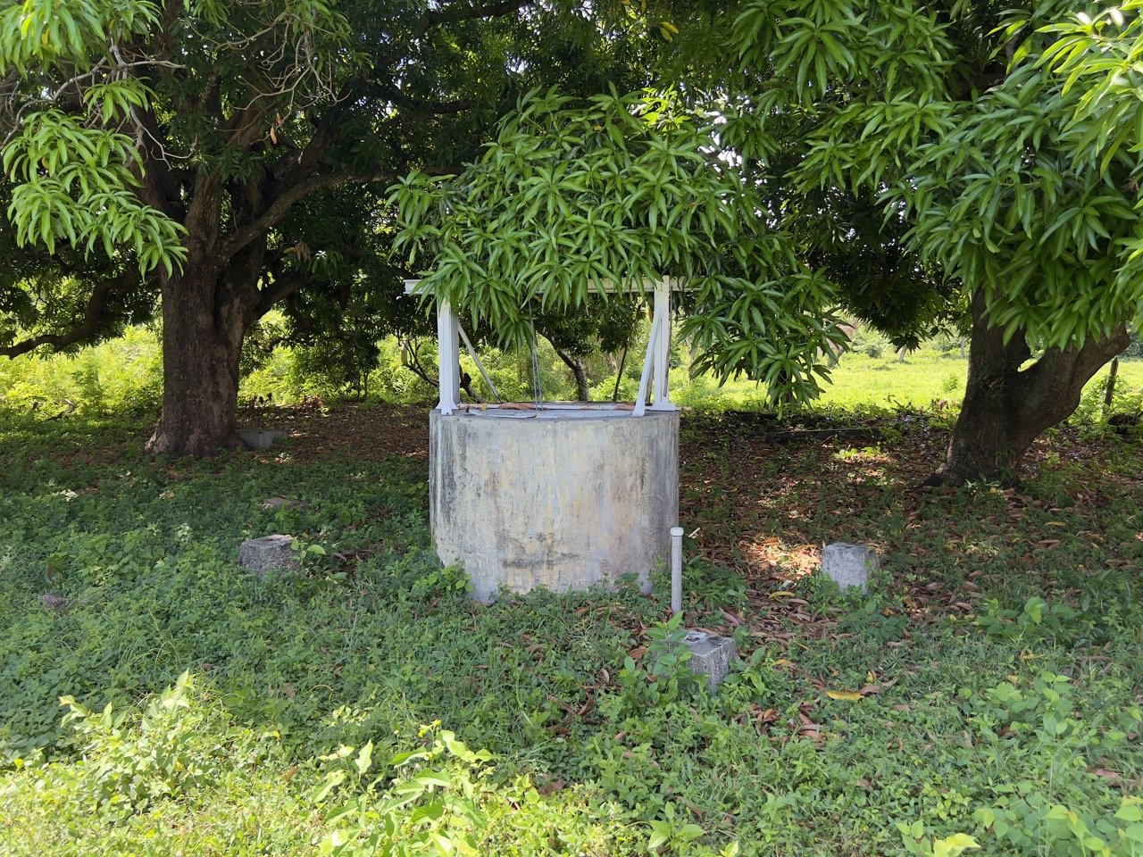 Business Location with Commercial Land Along the PanAmerican Highway - Image 45