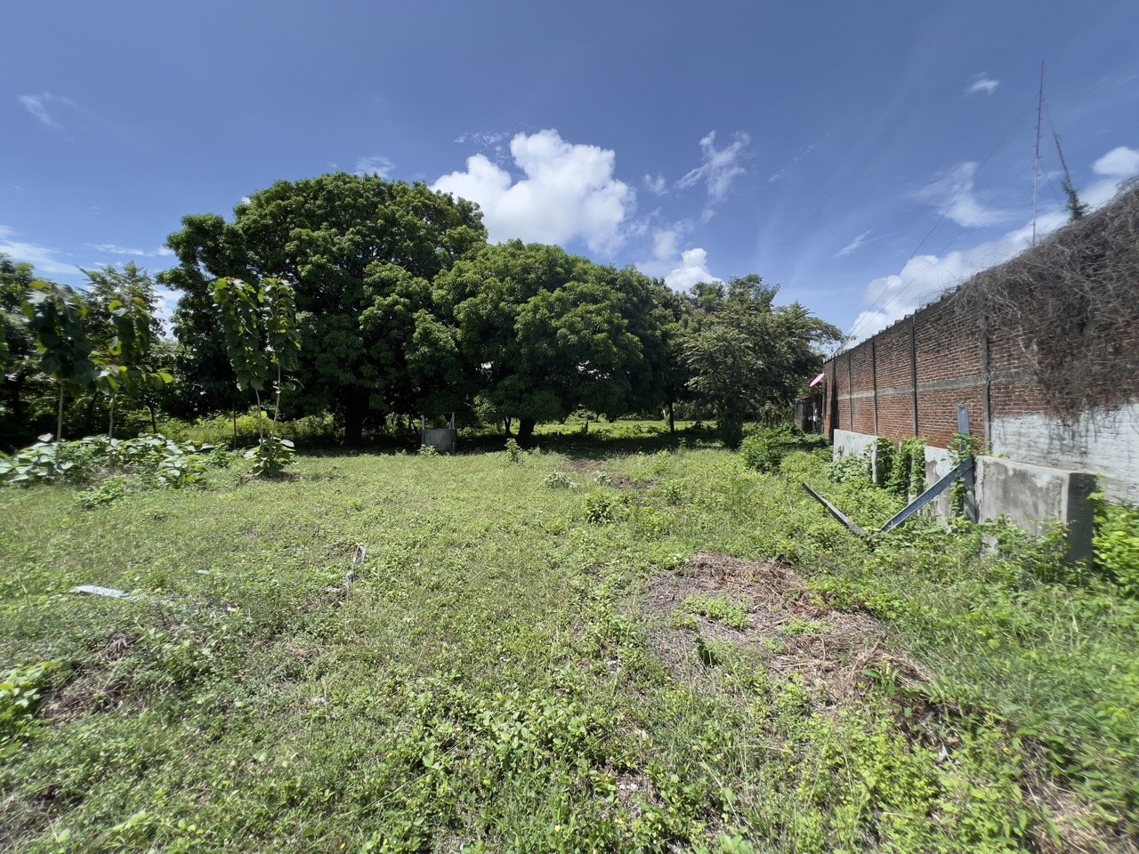 Business Location with Commercial Land Along the PanAmerican Highway - Image 46