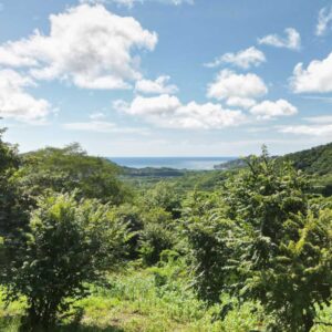 OceanView Lot in El Oro