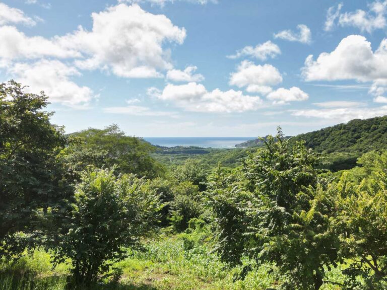 OceanView Lot in El Oro – Price Reduced for Your Dream Home Destination!