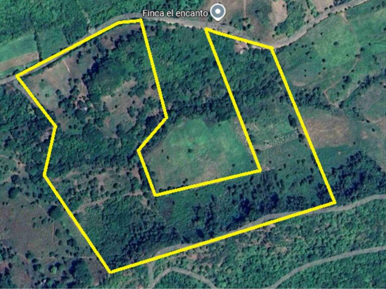 Price Slashed on 33 Acres of Tranquil Farmland Near Los Cedros!