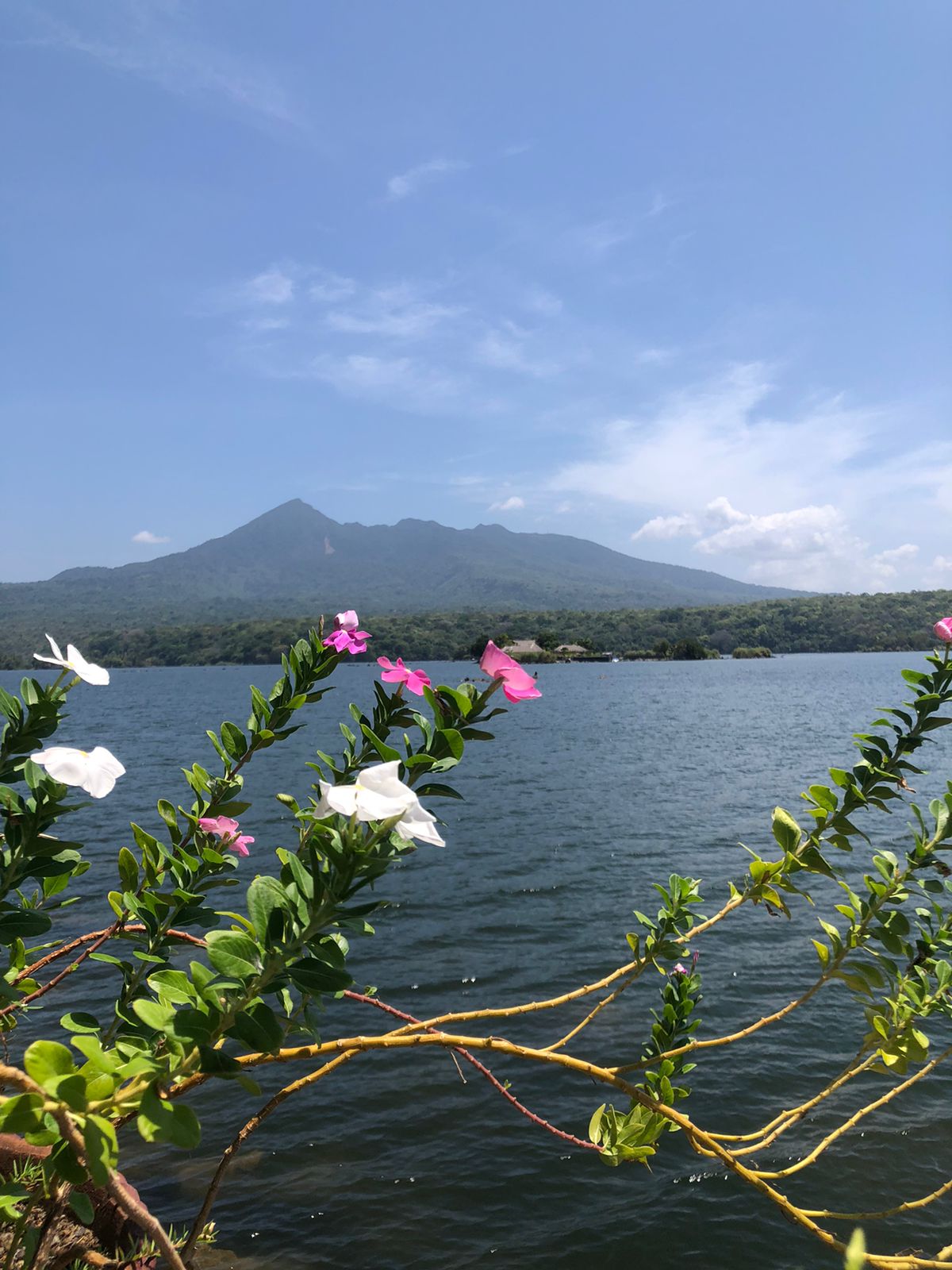 Own a Private Island & Treehouse Boutique Lodge - Image 37