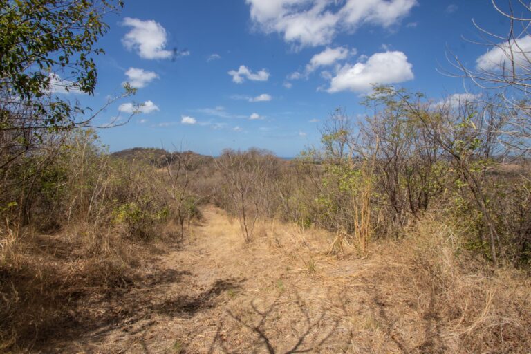 Price Update on 172 Acres Near Popoyo Beach – Your Next Big Adventure Awaits!