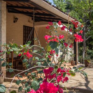 Charming Bungalow in San Juan del Sur