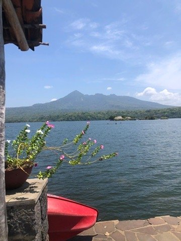 Own a Private Island & Treehouse Boutique Lodge - Image 29