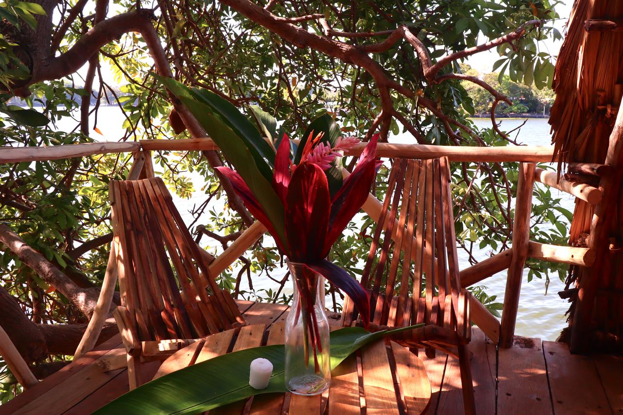 Own a Private Island & Treehouse Boutique Lodge - Image 10