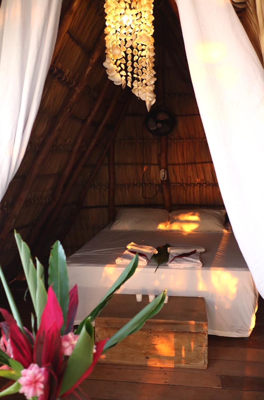 Own a Private Island & Treehouse Boutique Lodge - Image 13