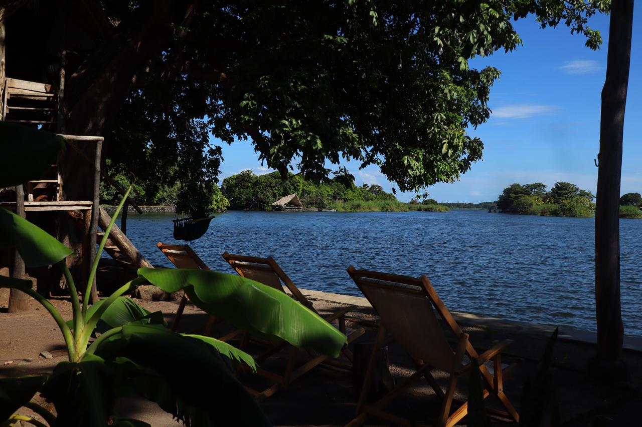 Own a Private Island & Treehouse Boutique Lodge - Image 15