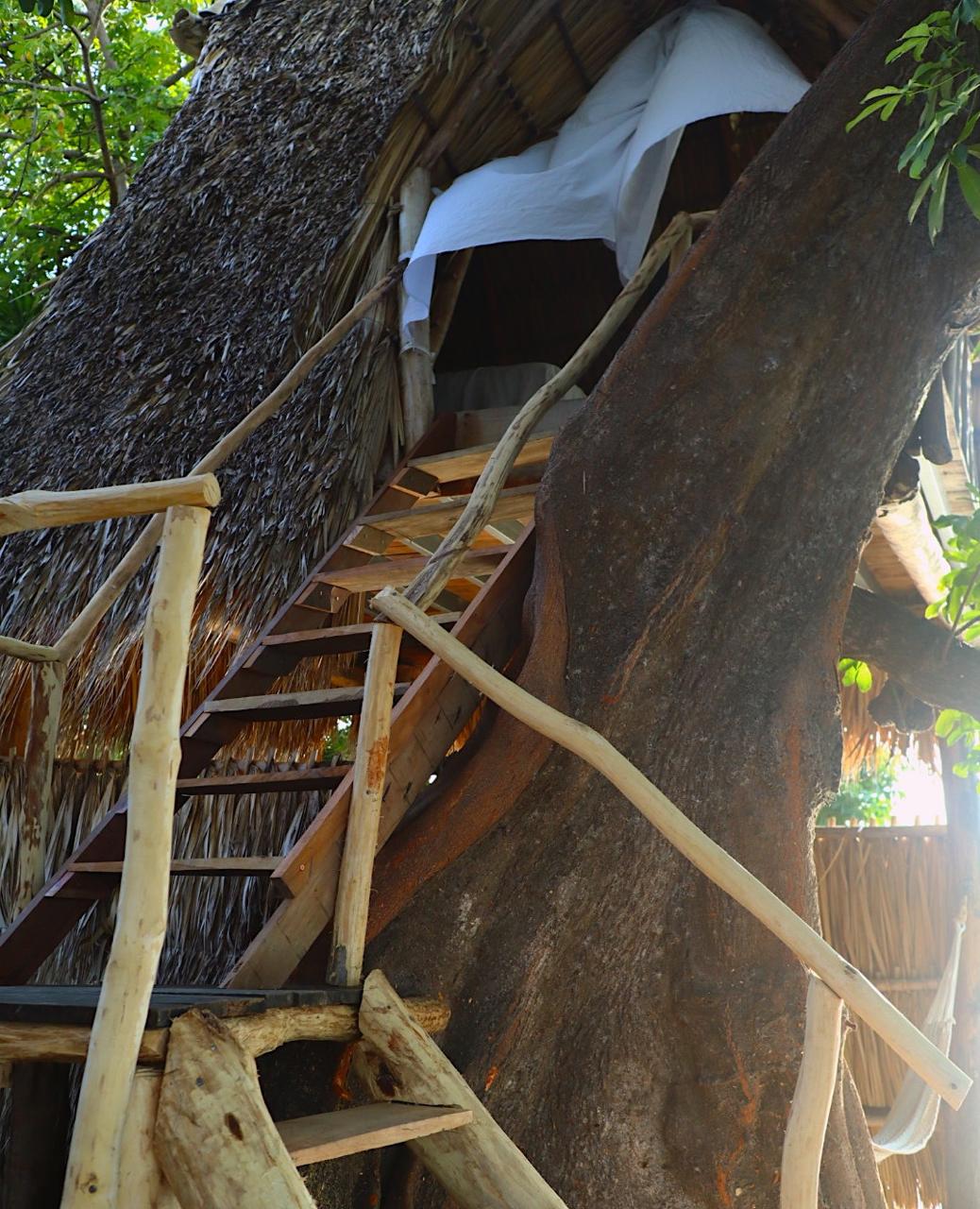 Own a Private Island & Treehouse Boutique Lodge - Image 21