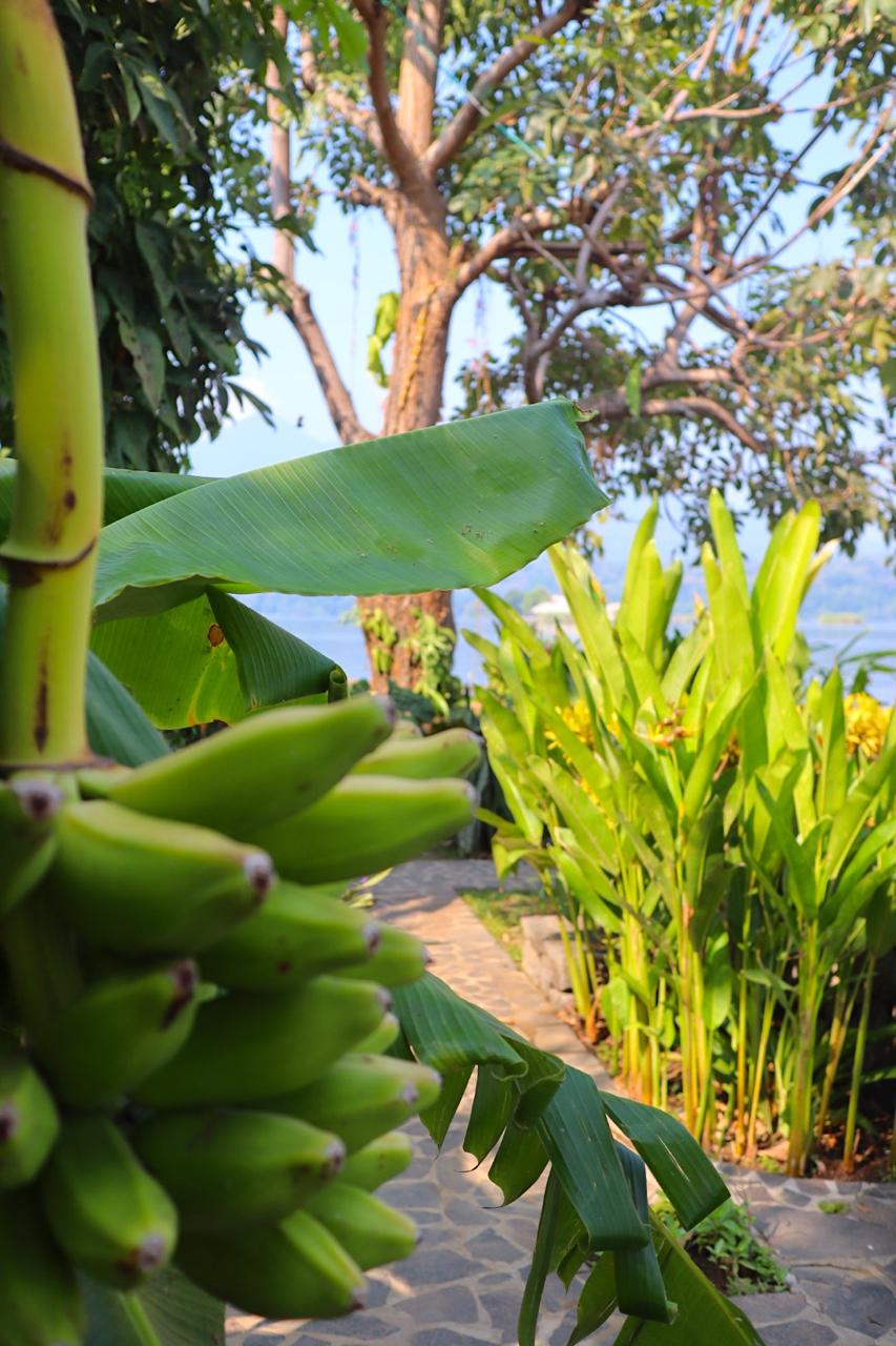 Own a Private Island & Treehouse Boutique Lodge - Image 24