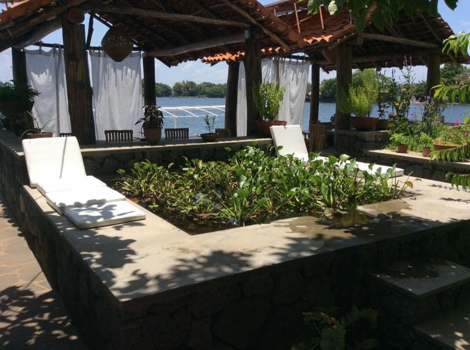 Own a Private Island & Treehouse Boutique Lodge - Image 3