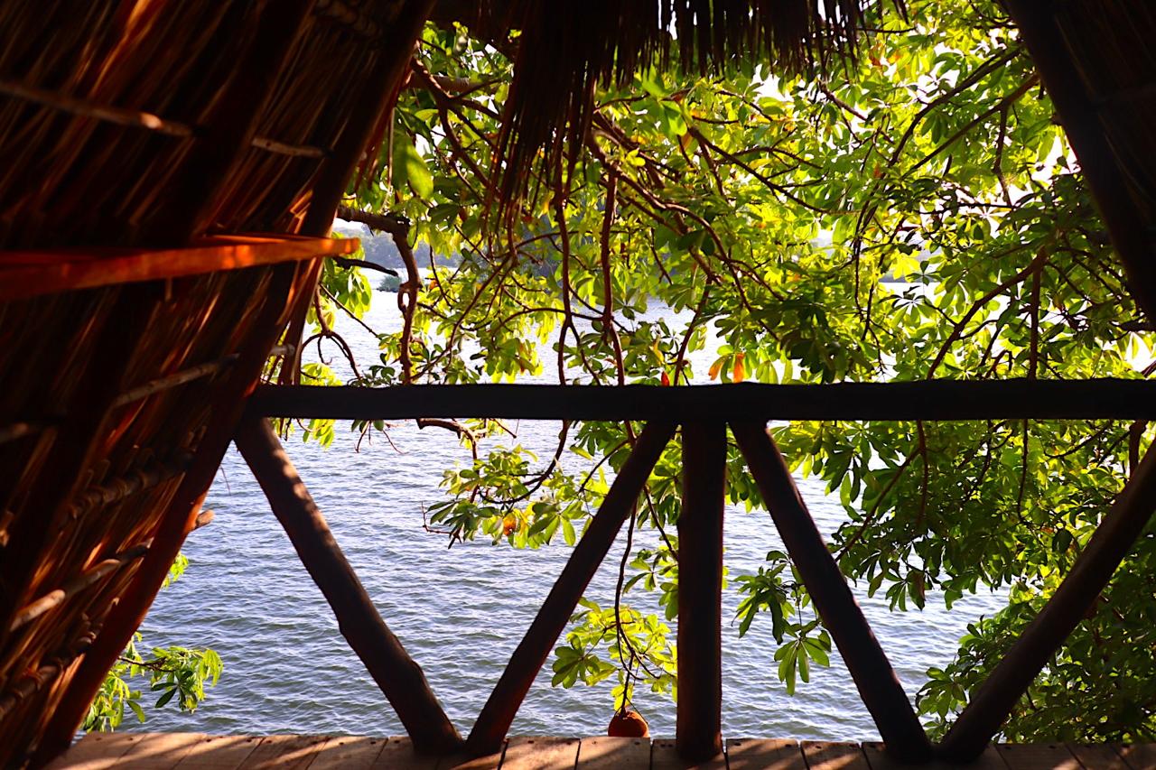 Own a Private Island & Treehouse Boutique Lodge - Image 6