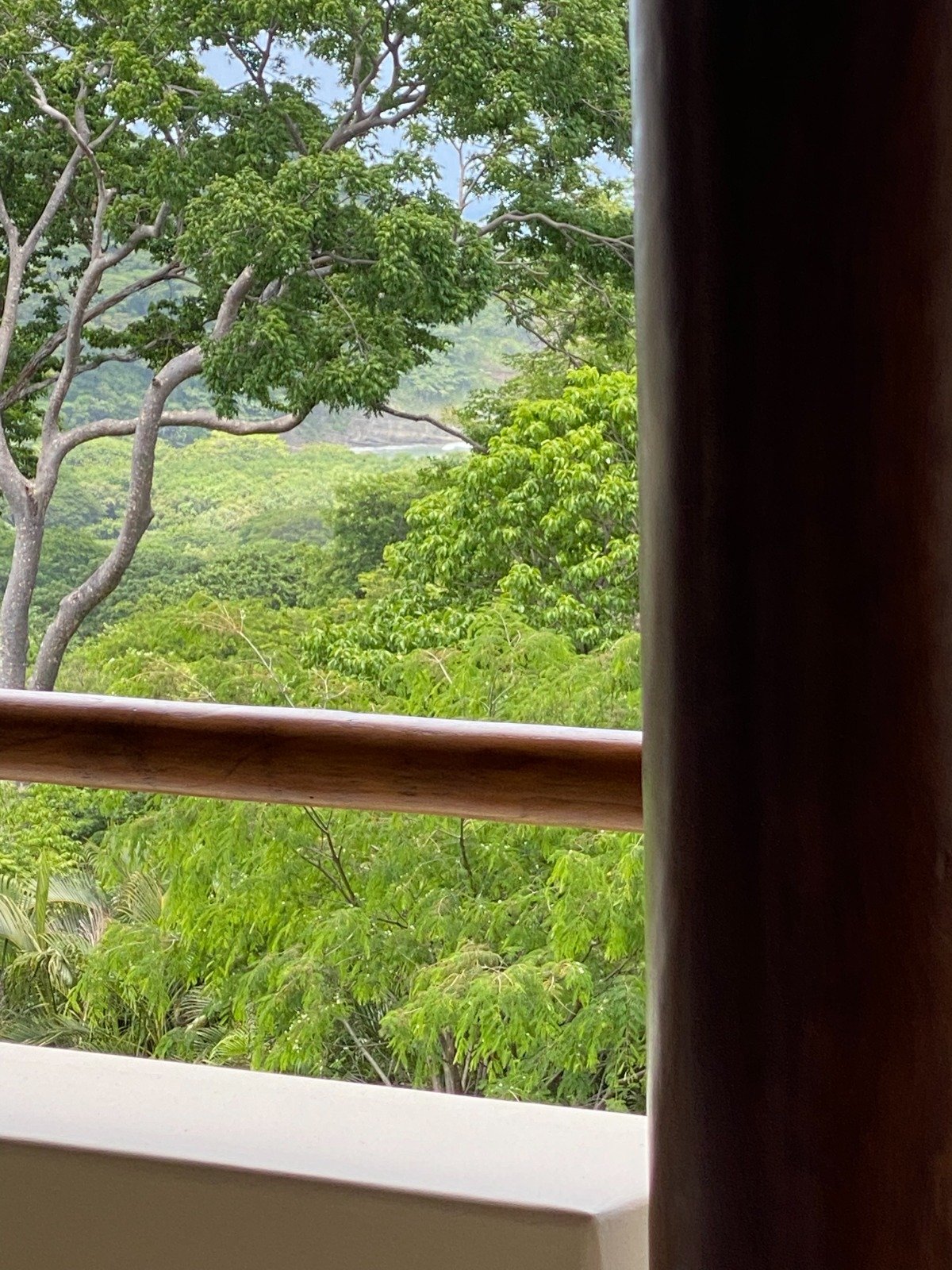 Guacalito Penthouse G6 - Image 8