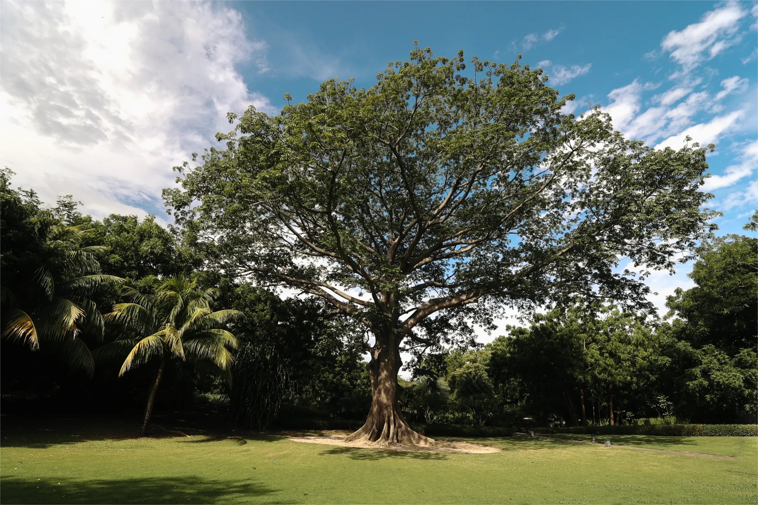 Luxury Ground Floor Condo at Las Terrazas – Guacalito de La Isla - Image 21