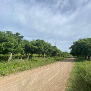Affordable Farm Acreage in San Juan Del Sur, Nicaragua