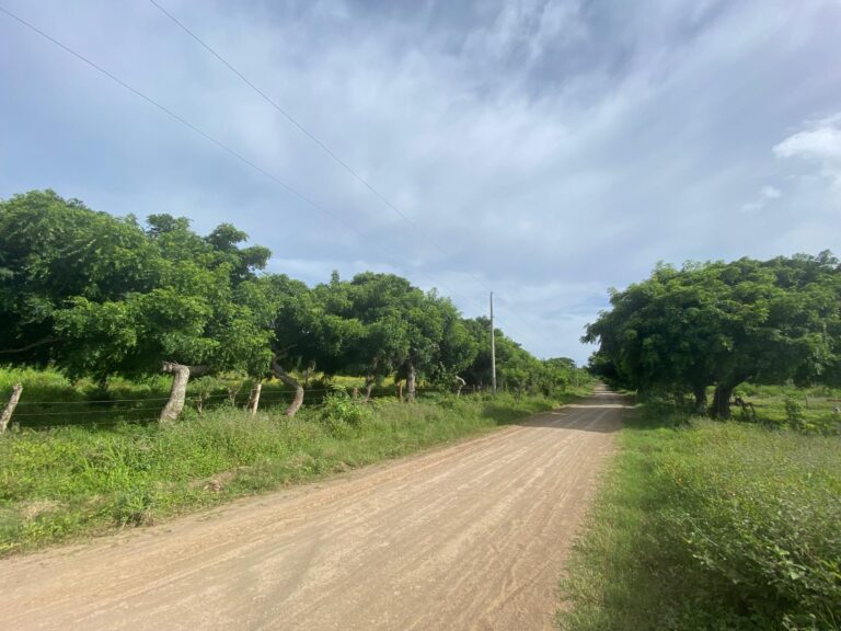 Unbelievable Opportunity: Affordable Farm Acreage Near San Juan Del Sur