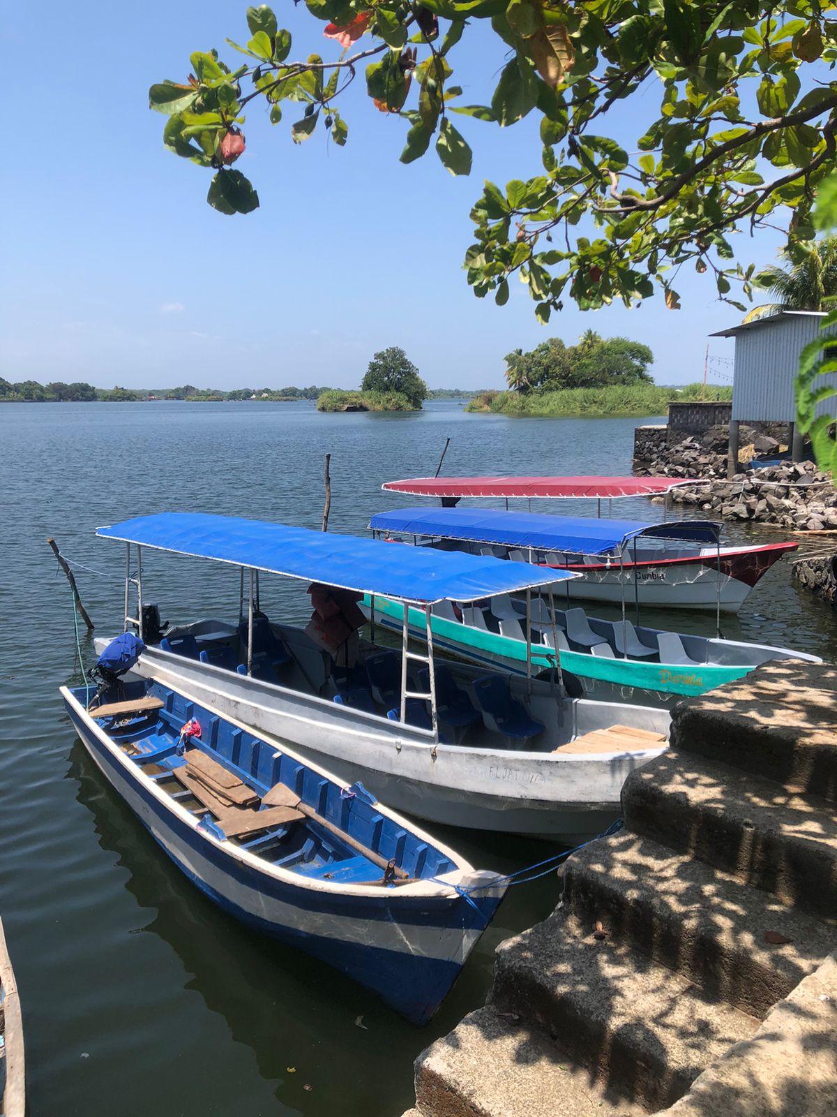 Own a Private Island & Treehouse Boutique Lodge - Image 25