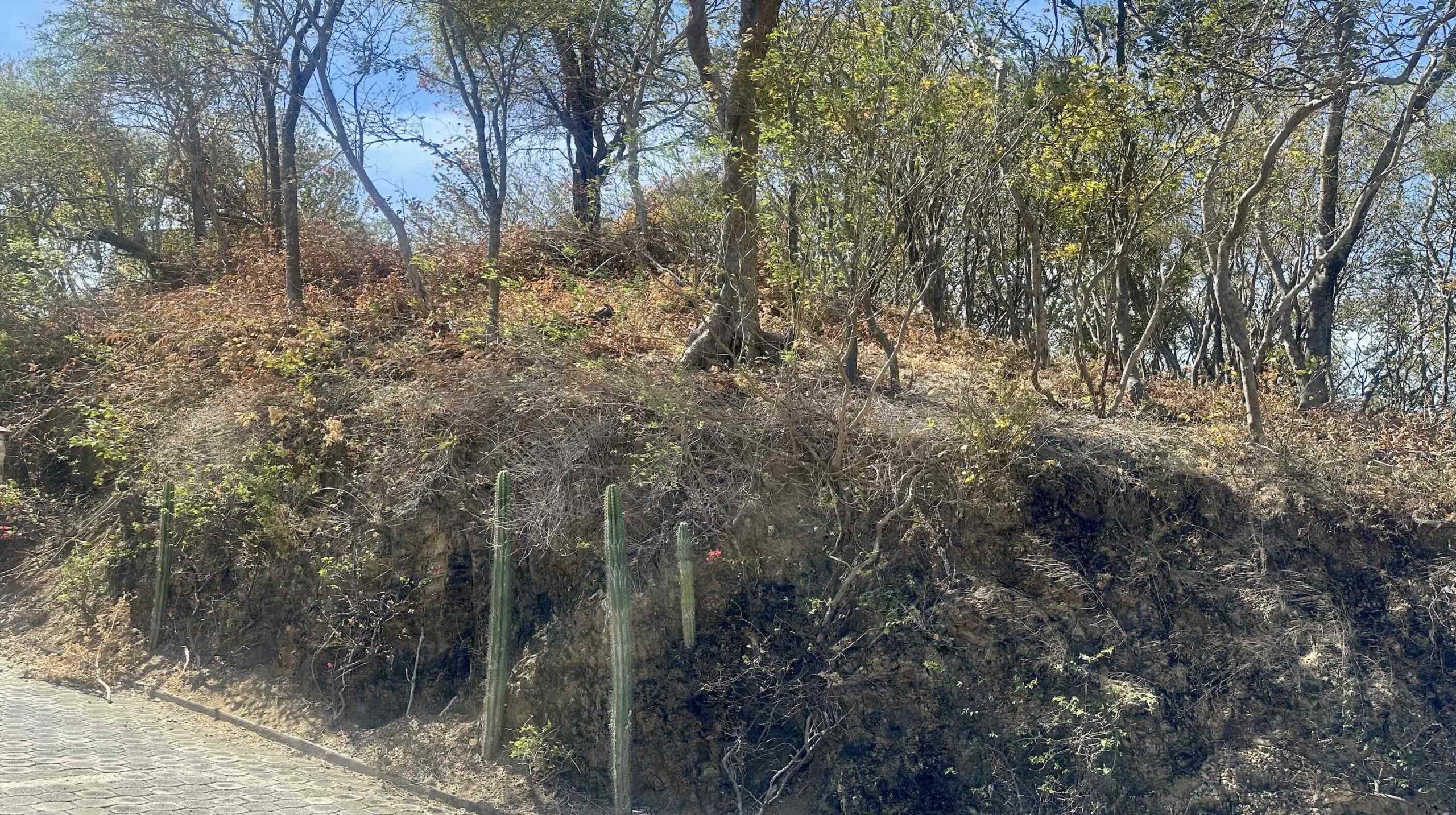 Ocean View Lot in Cala Azul in San Juan Del Sur, Nicaragua - Image 4