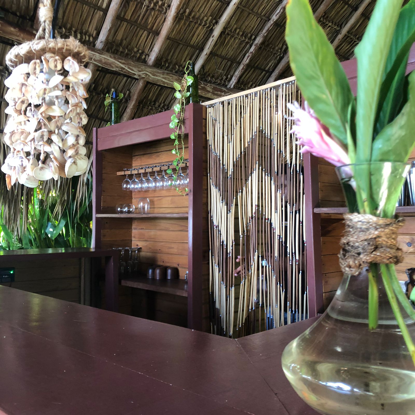 Own a Private Island & Treehouse Boutique Lodge - Image 36