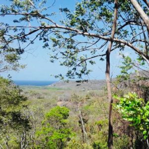 Finca Dulce Oceanview near Surf Madera