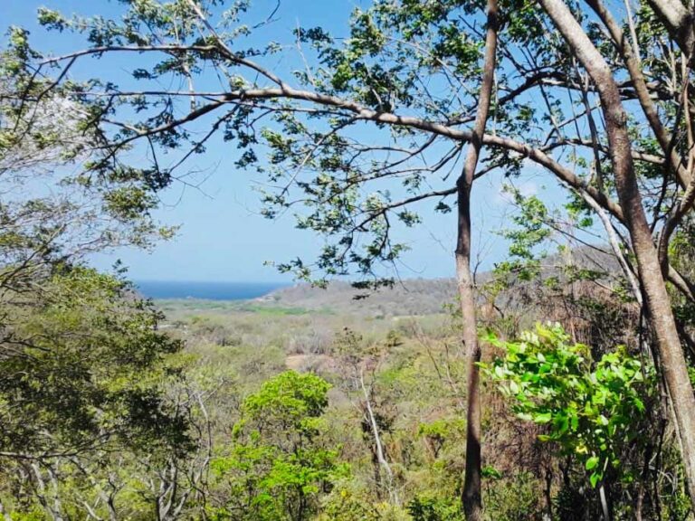 Price Update Alert! Seize Your Slice of Paradise near Surf Madera