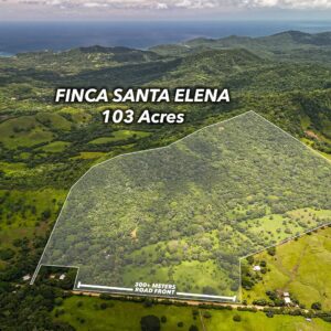 Lakeview Farm Near the Beaches