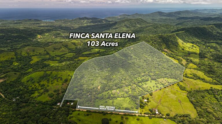 Price Update: Dream Lakeview Farm Gets Even More Appealing!