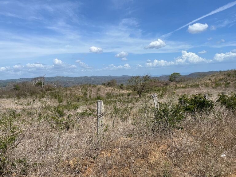 Price Update! Experience Paradise at this 32-Acre Farm in San Juan del Sur