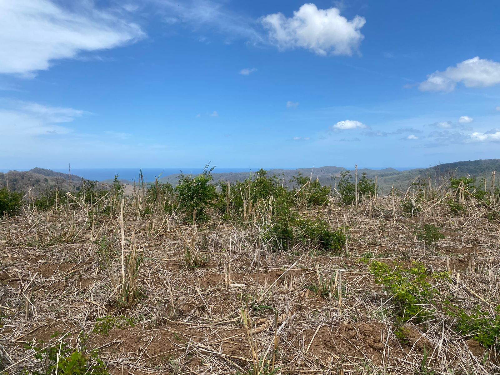 Stunning 32-Acre Farm El Cielo in San Juan del Sur San Juan del Sur, Rivas - Image 18