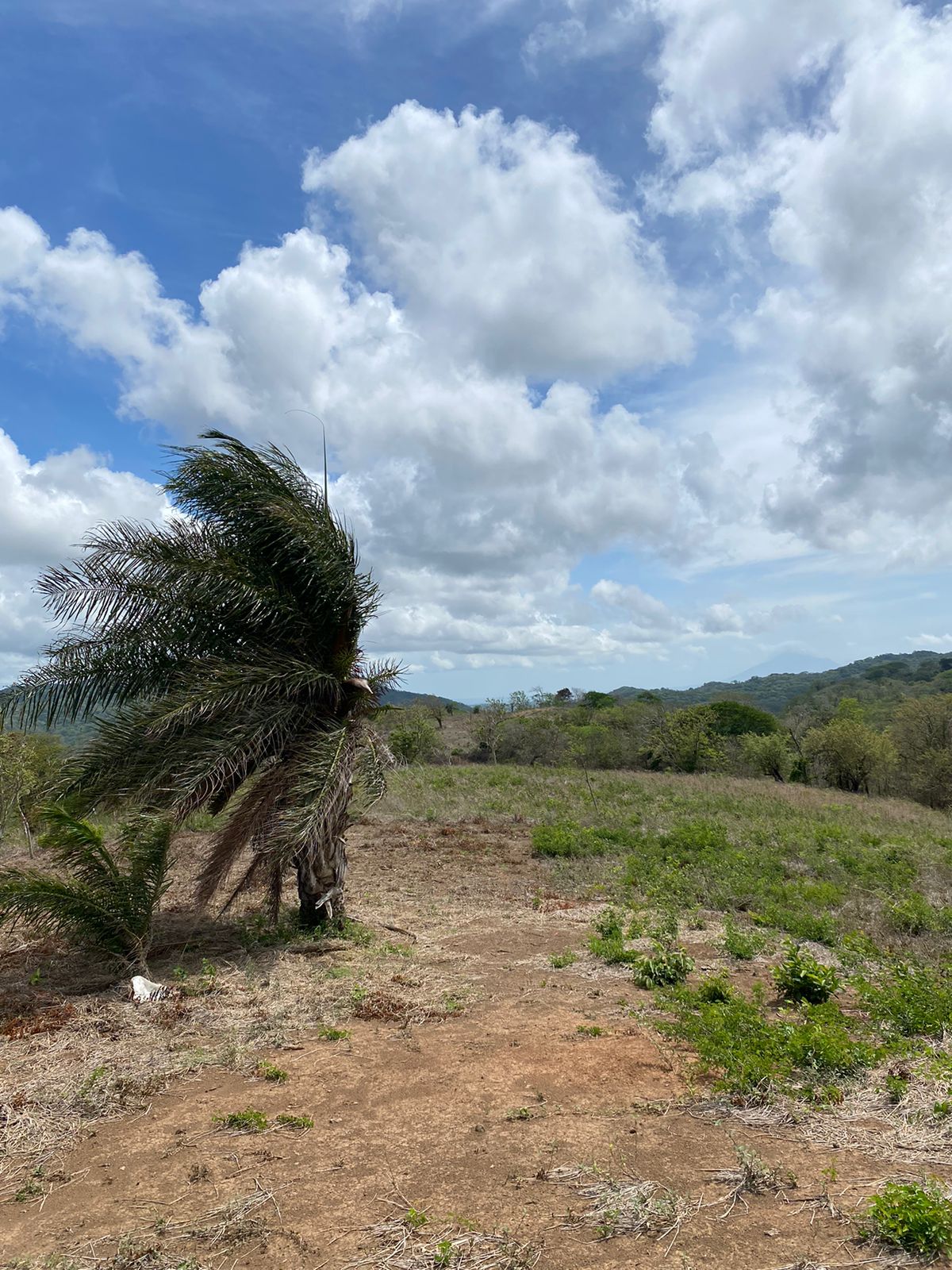 Stunning 32-Acre Farm El Cielo in San Juan del Sur San Juan del Sur, Rivas - Image 21