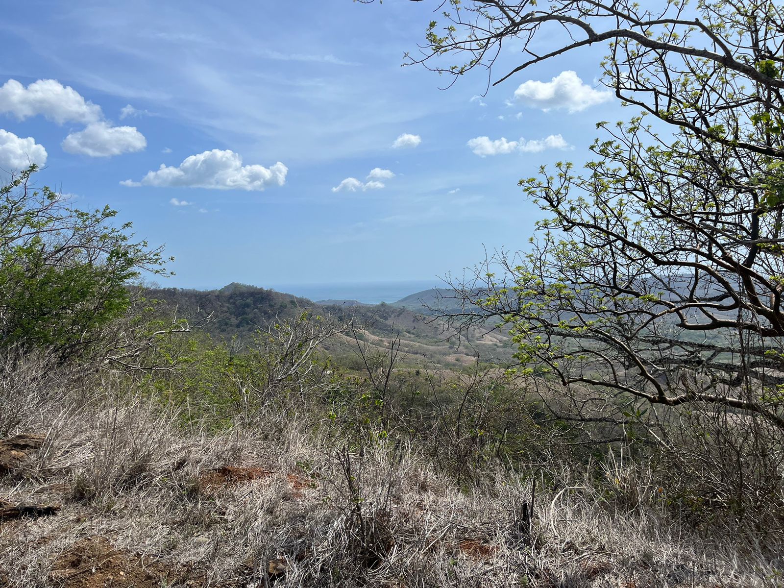 Stunning 32-Acre Farm El Cielo in San Juan del Sur San Juan del Sur, Rivas - Image 4